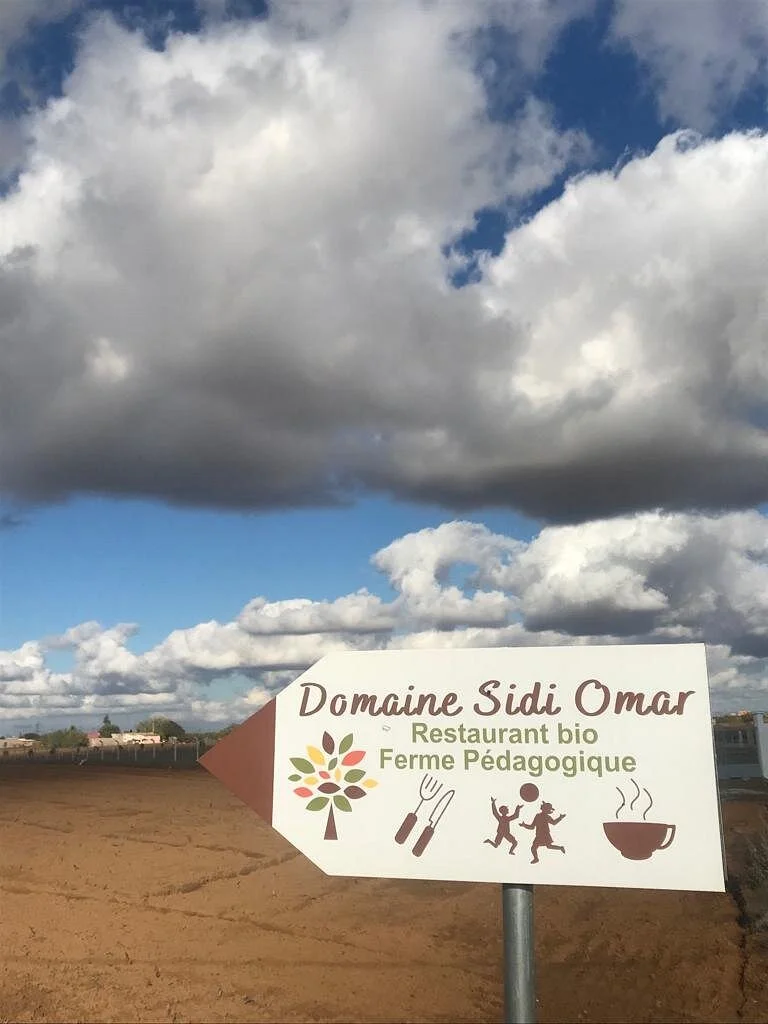 Domaine Sidi Omar - photo 3